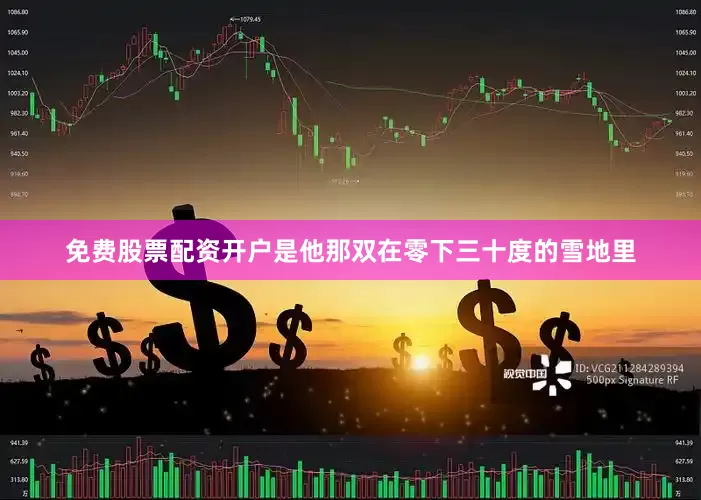 免费股票配资开户是他那双在零下三十度的雪地里