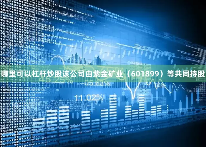 哪里可以杠杆炒股该公司由紫金矿业（601899）等共同持股